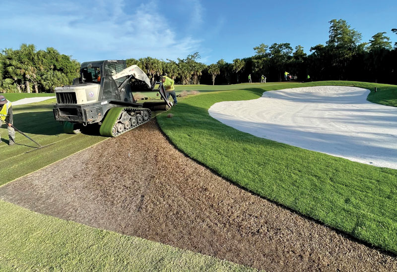 Olde is new again: Insights from a renovation TifTuf bermudagrass sod