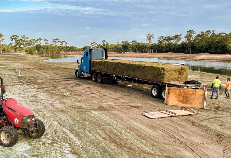 Olde is new again: Insights from a renovation TifTuf bermudagrass