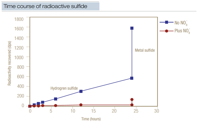 Black layer in turf: Causes and management Radioactive sulfide turf