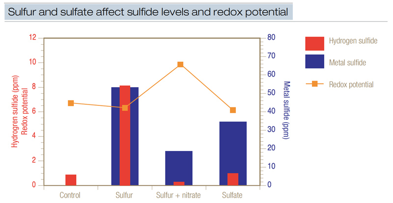 Black layer in turf: Causes and management Sulfur sulfate redox potential