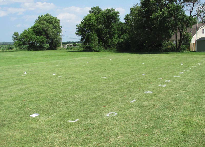 Buffalograss: Effects of nitrogen rate on traffic tolerance Buffalograss