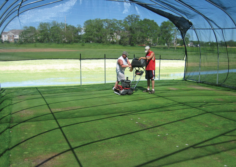 Velvet vs. creeping: Managing bentgrasses in shade Turfgrass shade