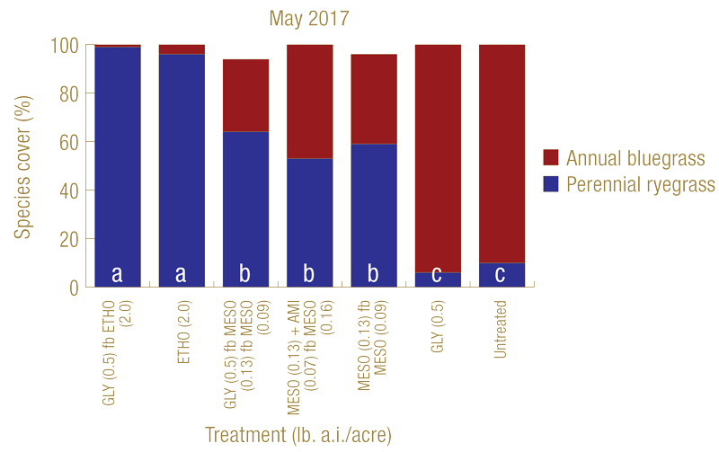 The annual bluegrass seedbank vs. perennial ryegrass establishment Annual bluegrass herbicide