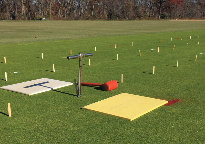 Reducing anthracnose with potassium and nitrogen Anthracnose nitrogen potassium