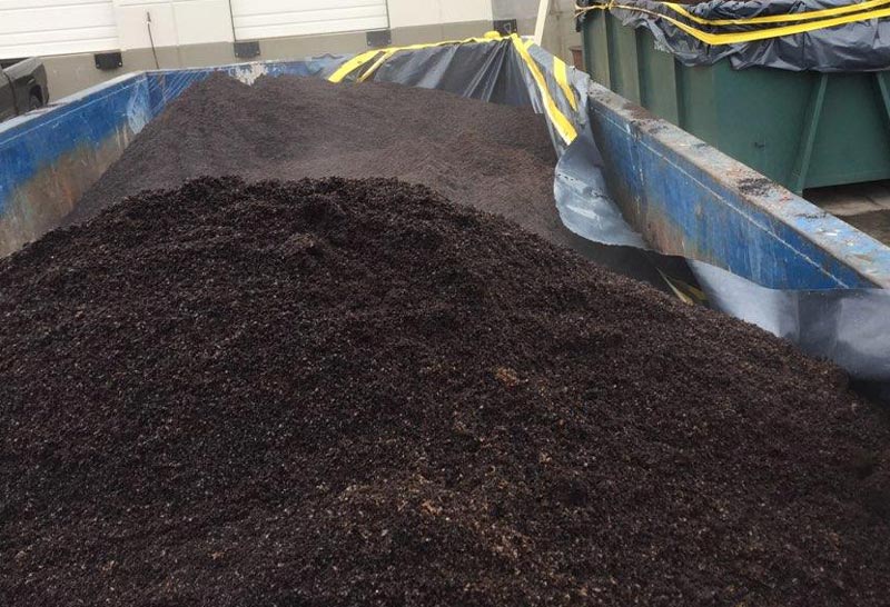 Spent coffee grounds for turfgrass? Coffee grounds turfgrass