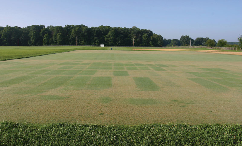 Combination fungicides for improved turfgrass disease control Combination fungicides turf