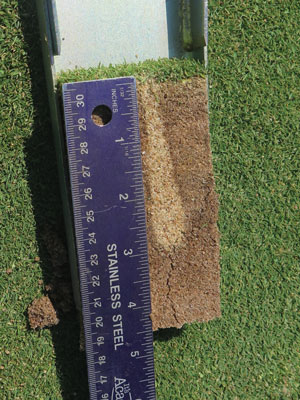 Effects of air and sand injection on soil physical properties DryJect soil