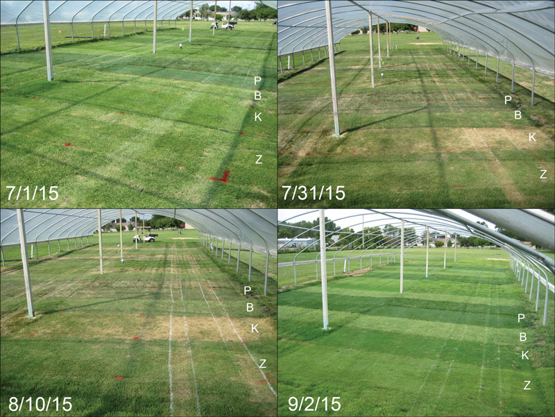 Effects golf cart traffic and drought on turfgrass Golf cart traffic stress