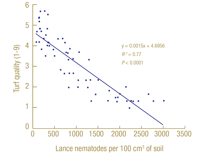Managing lance nematodes in warm-season turfgrass Manage lance nematodes