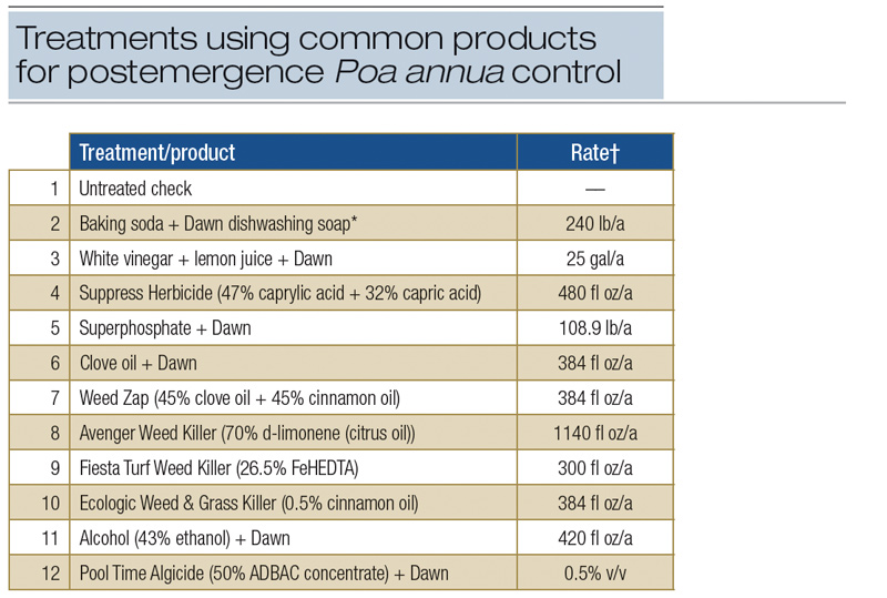 Natural alternatives for annual bluegrass control Poa annua control alternatives