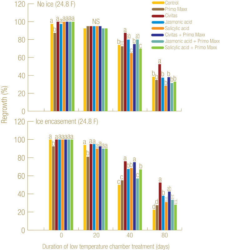 Improving turfgrass survival of ice encasement Turf recovery ice encasement
