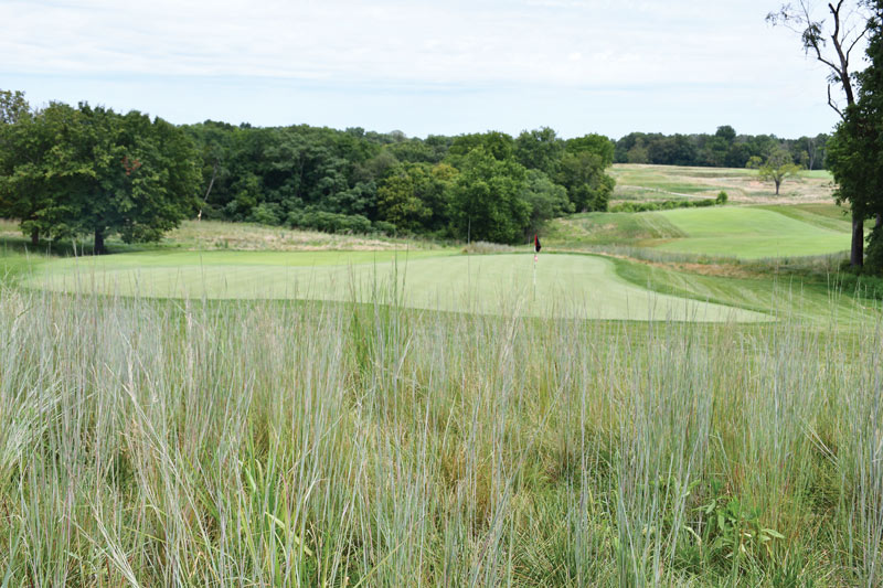 Weed control in minimal- and no-mow golf course roughs Weeds golf course rough