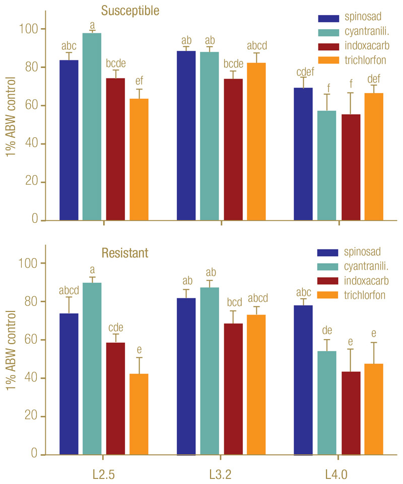 Effect of annual bluegrass weevil larval stage on insecticide efficacy ABW larval instar