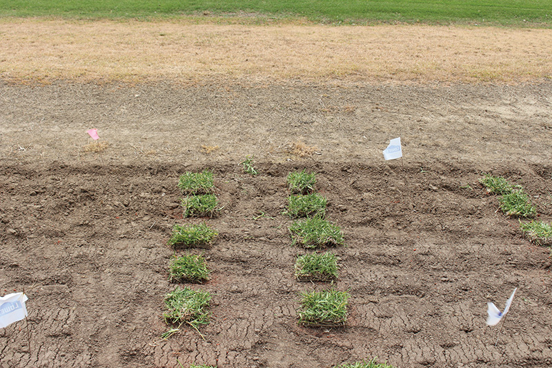 Aerial view of Ghost Creek golf course