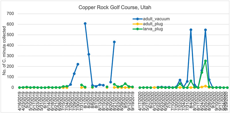 Graph tracking seasonal activity of flea beetles at Copper Rock Golf Course