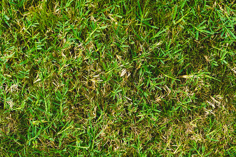 Aerial view of Ghost Creek golf course