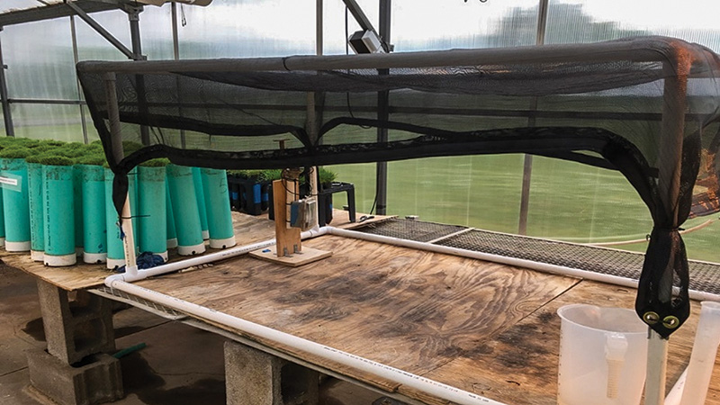 Aerial view of Ghost Creek golf course