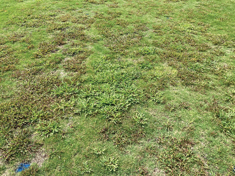 Aerial view of Ghost Creek golf course