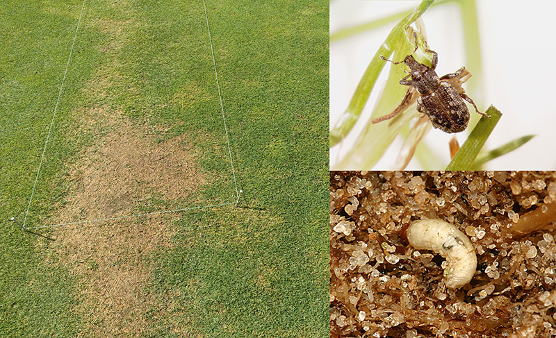 Aerial view of Ghost Creek golf course