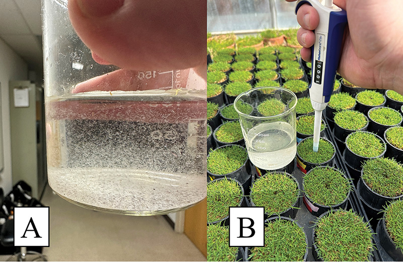 Aerial view of Ghost Creek golf course