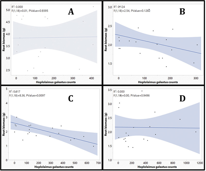 Aerial view of Ghost Creek golf course