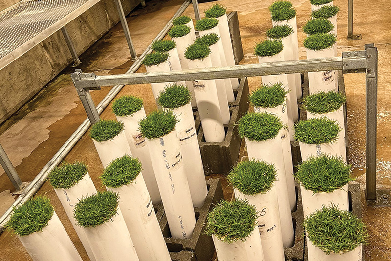 Aerial view of Ghost Creek golf course