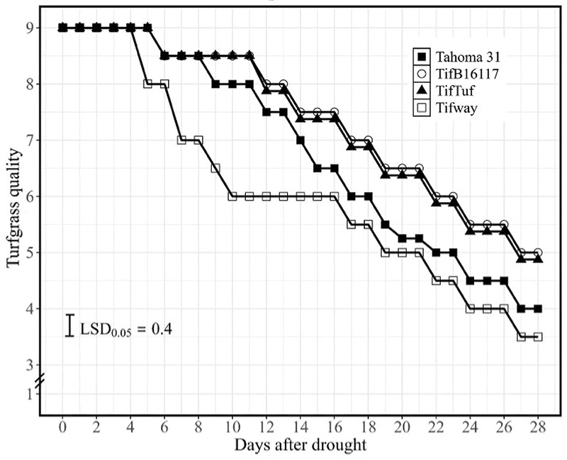 Aerial view of Ghost Creek golf course