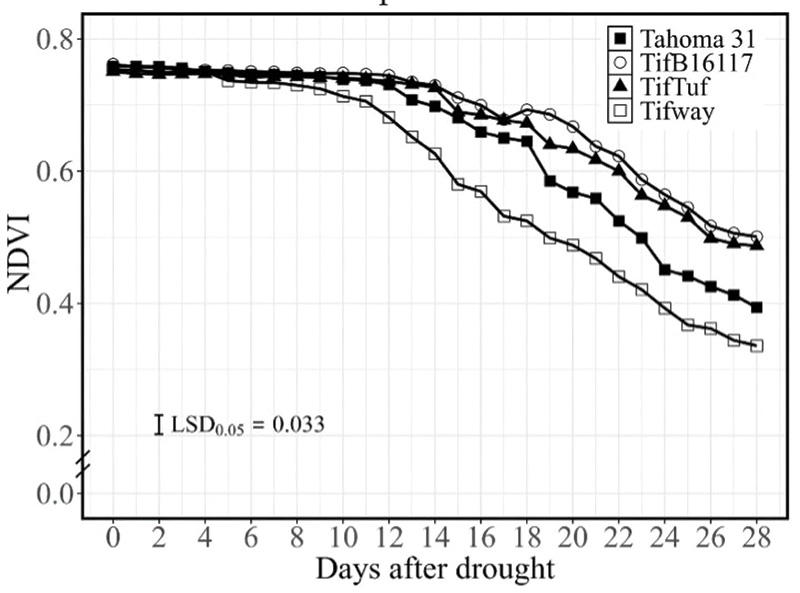 Aerial view of Ghost Creek golf course