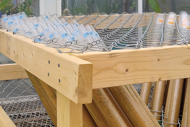 Aerial view of Ghost Creek golf course