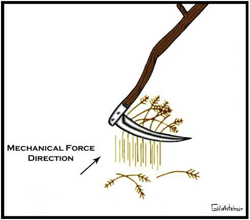 Reel mowers: Scythe or scissors? Scythe mower