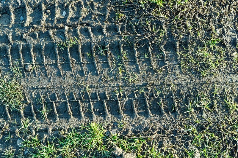 Soil compaction effects on turf Soil compaction golf course