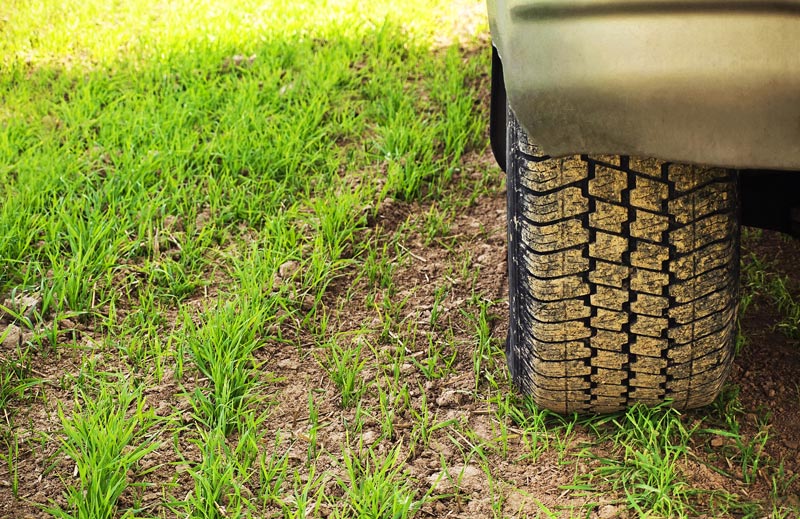 Soil compaction effects on turf Soil compaction turfgrass