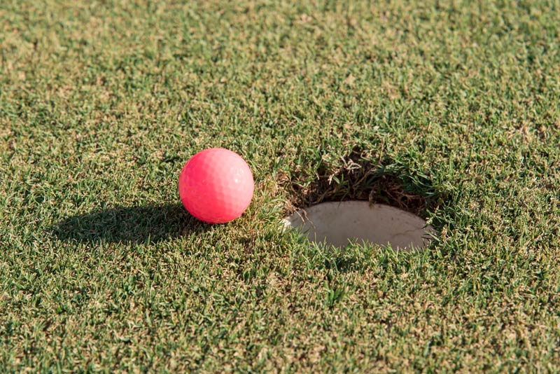 Fast grass: Techniques to accelerate turf establishment Fast turf establishment