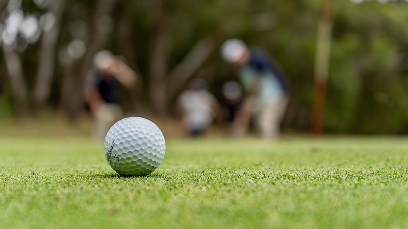 Fast grass: Techniques to accelerate turf establishment Golf course turf establishment