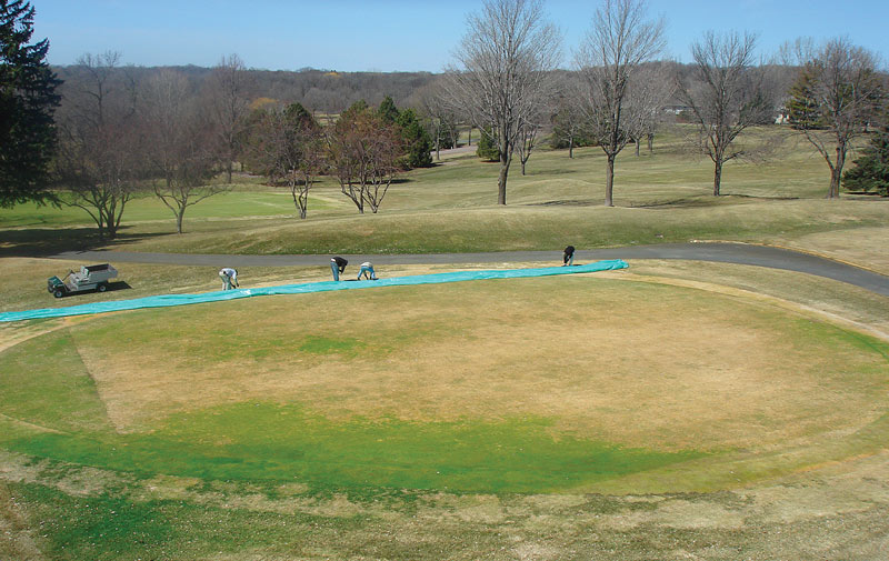 Winter turf damage: The green in the bubble Golf green cover
