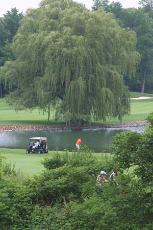 Winter turf damage: The green in the bubble Wayzata Country Club