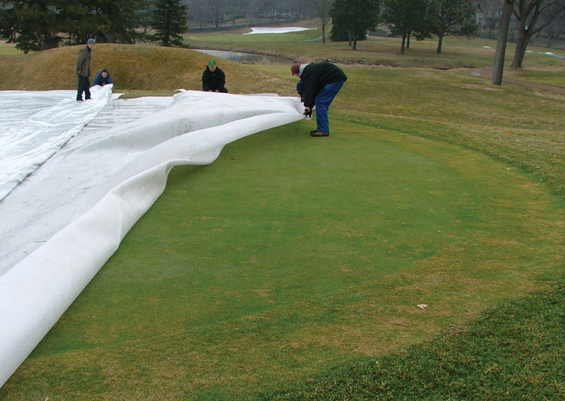 Winter turf damage and turf covers: A guide GreenJacket cover