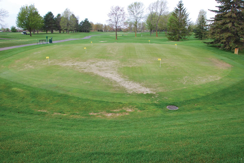 Winter turf damage and turf covers: A guide Turfgrass winter injury