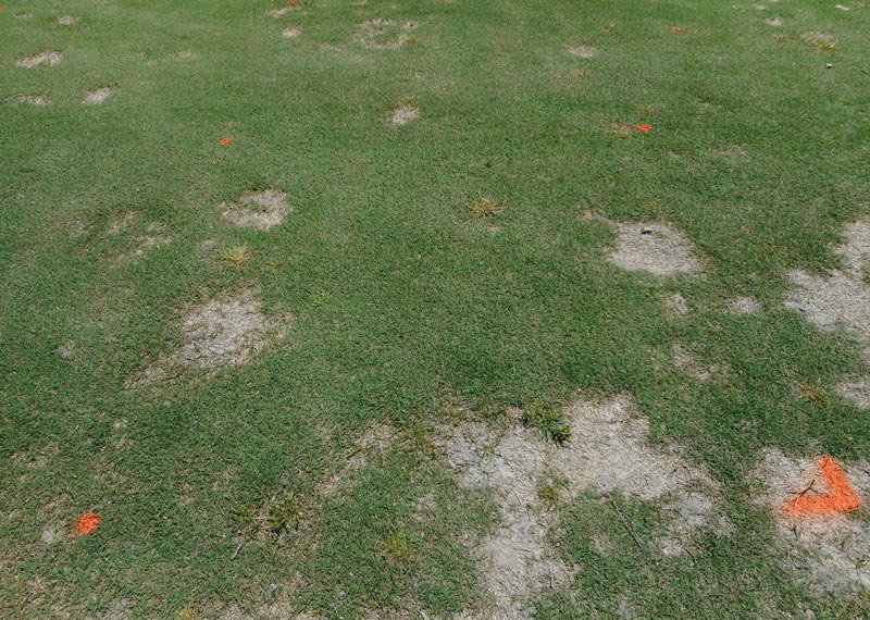 Spring dead spot prevention Spring dead spot