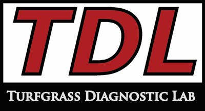 Pythium diseases are not all the same Turfgrass Diagnostic Lab
