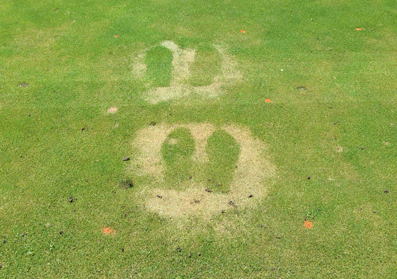 Hand sanitizer effects on turfgrass DEET turfgrass damage