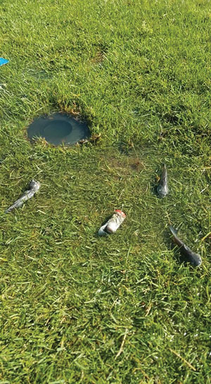 Photo Quiz: Irrigation line inhabitants, uneven ground Fish irrigation line