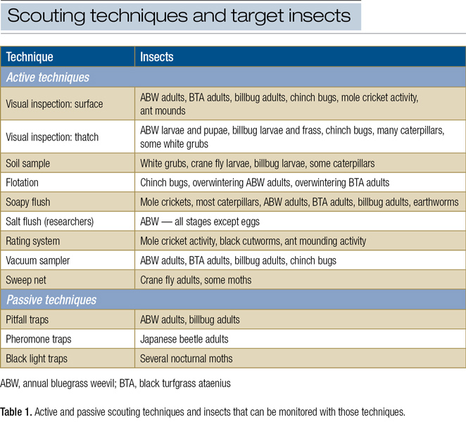 Turf insects: Looking for bugs in all the right places Turf insect scouting techniques
