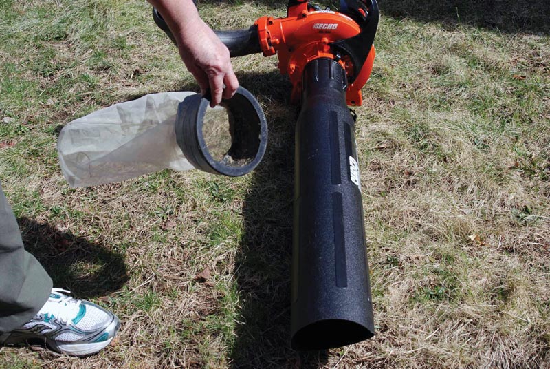 Turf insects: Looking for bugs in all the right places Vacuum insects