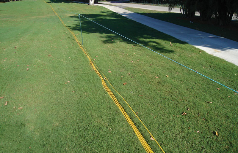 Photo Quiz: Discolored green, imprinted lines in rough Cords on turf