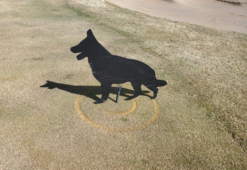 Photo Quiz: Oily marks, worn turf in perfect circles Dog decoy geese
