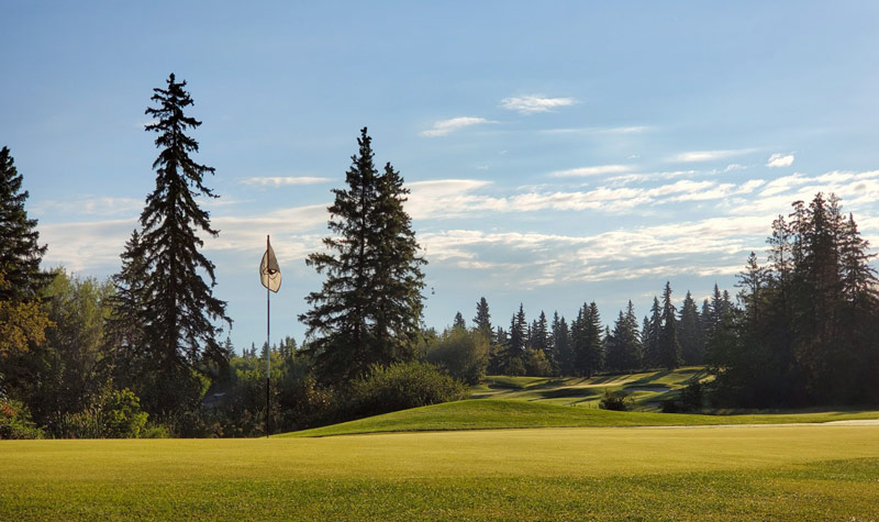 Perfecting winter putting green protection Glendale Golf Country Club