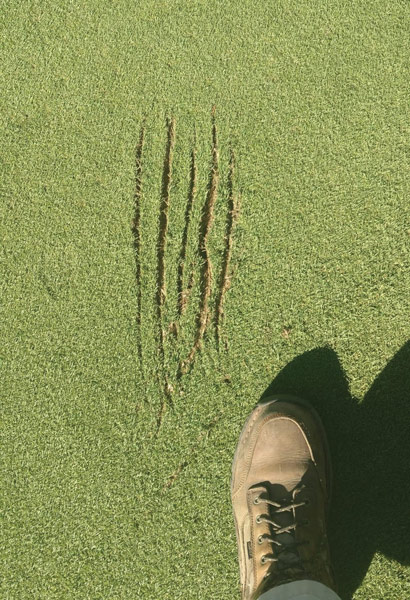 Photo Quiz: Scratches on green, ‘ghost’ footprints Golf green scratches