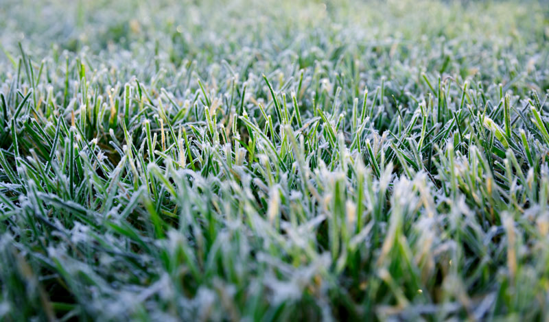 The icing on the turf Ice effects golf turf