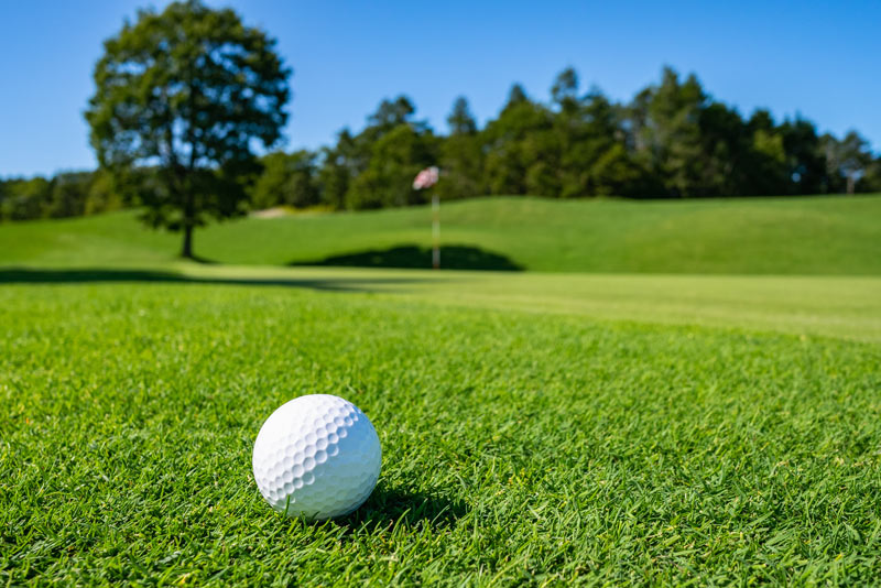 The art of managing turf density Managing turfgrass density